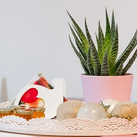 Cactus Meteora Kalambaka