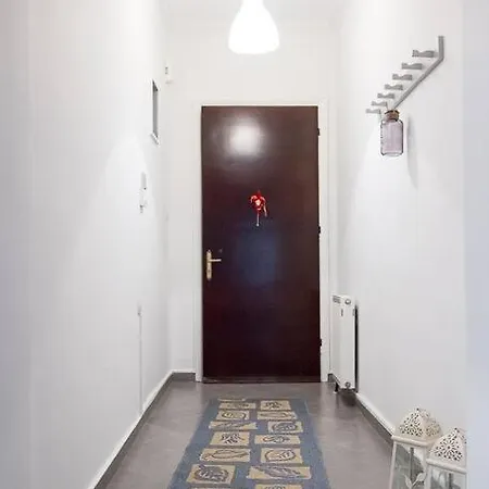 Cactus Meteora *